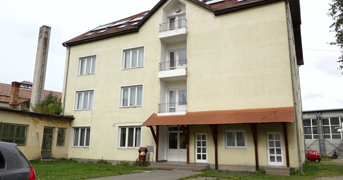 Online oktatás poloskák miatt